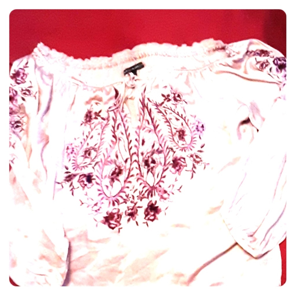 Gorgeous 100% polyester embroidered blouse